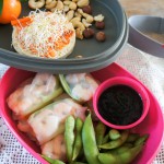 Review Rosti Mepal Lunchbox + meeneemlunch tips