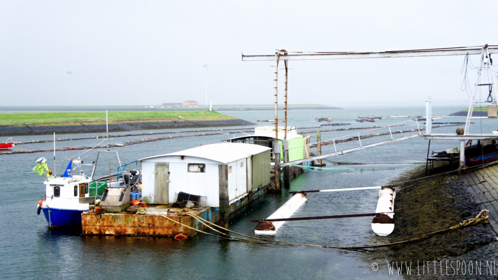 De Vluchthaven in Bruinisse