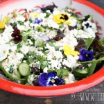 Groene salade met romige tahindressing en eetbare bloemen