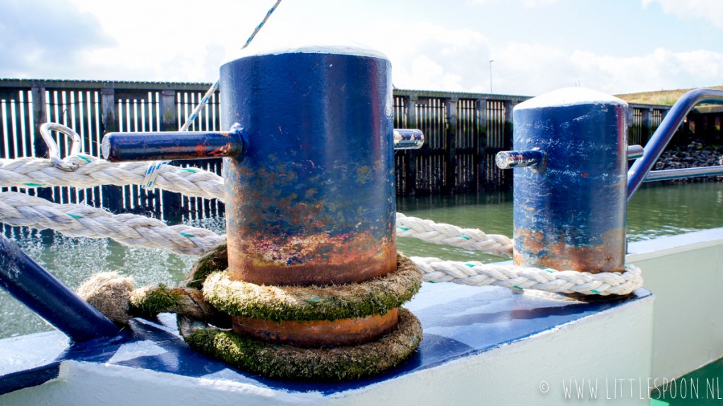 Fruits de mer op de Oosterschelde