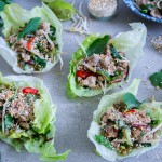 Larb gai // Thaise salade met pittige kip
