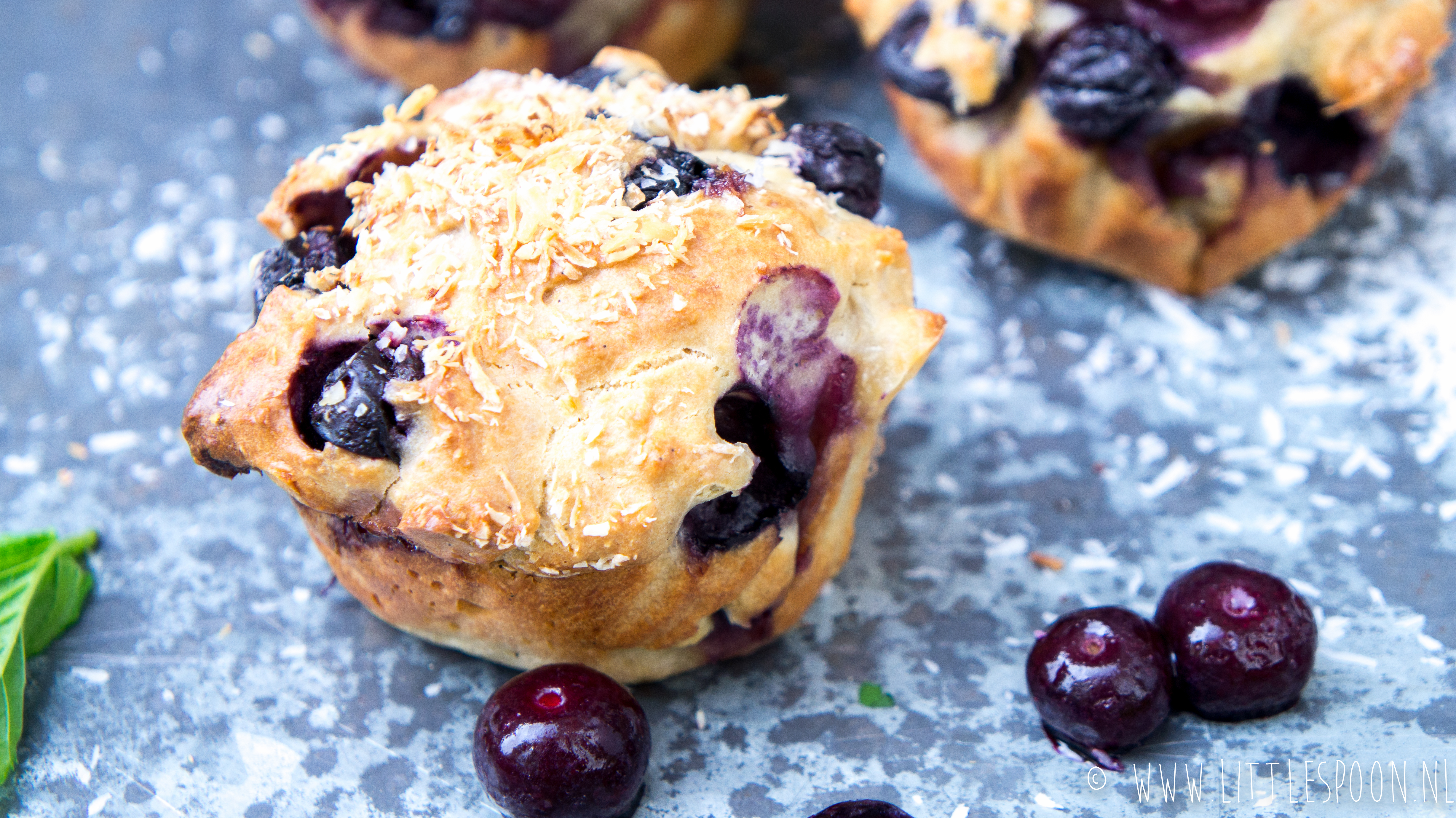 Semi gezonde muffins met blauwe bessen en kokos