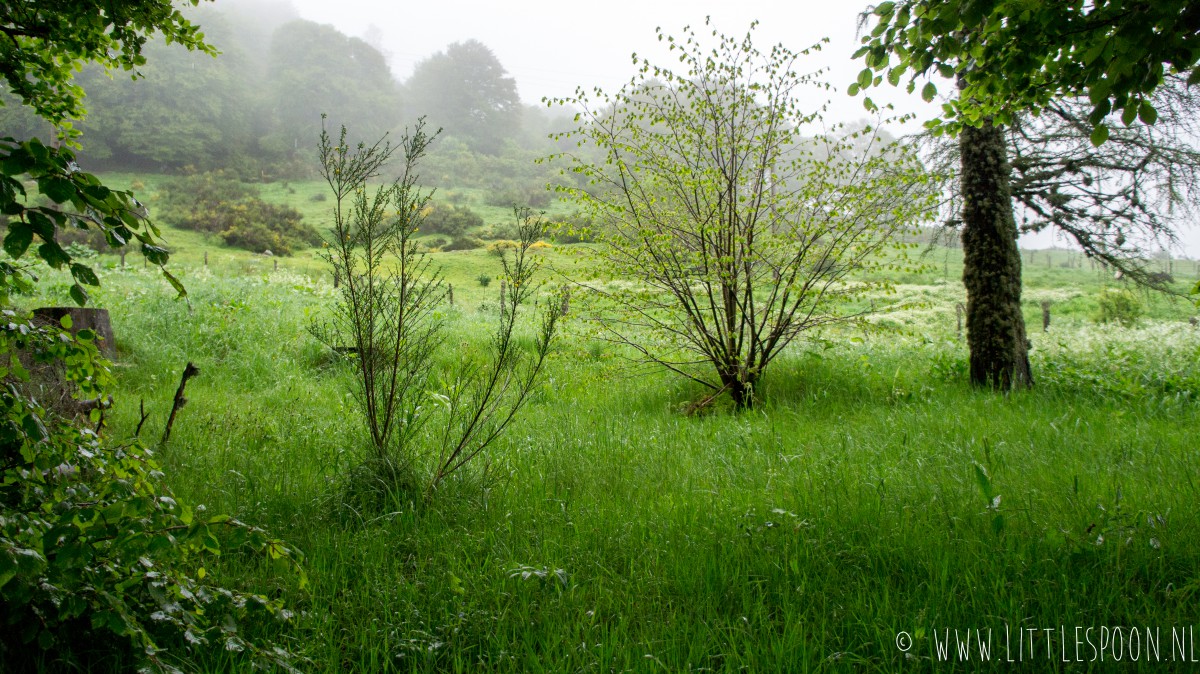 Reisdagboek Auvergne #1