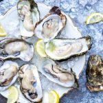 10 x oesters eten in Zeeland