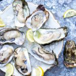 10 x oesters eten in Zeeland