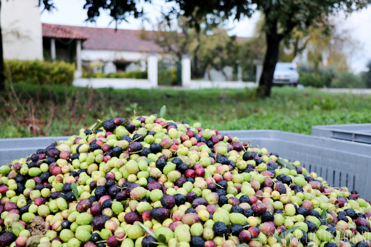 Op culinaire rondreis door Centro de Portugal