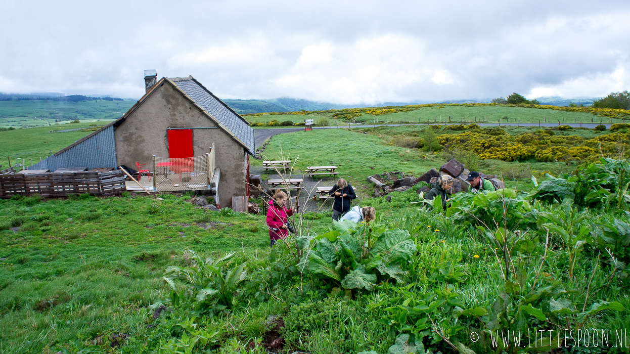 Reisdagboek Auvergne #2: wildplukken in de bergen