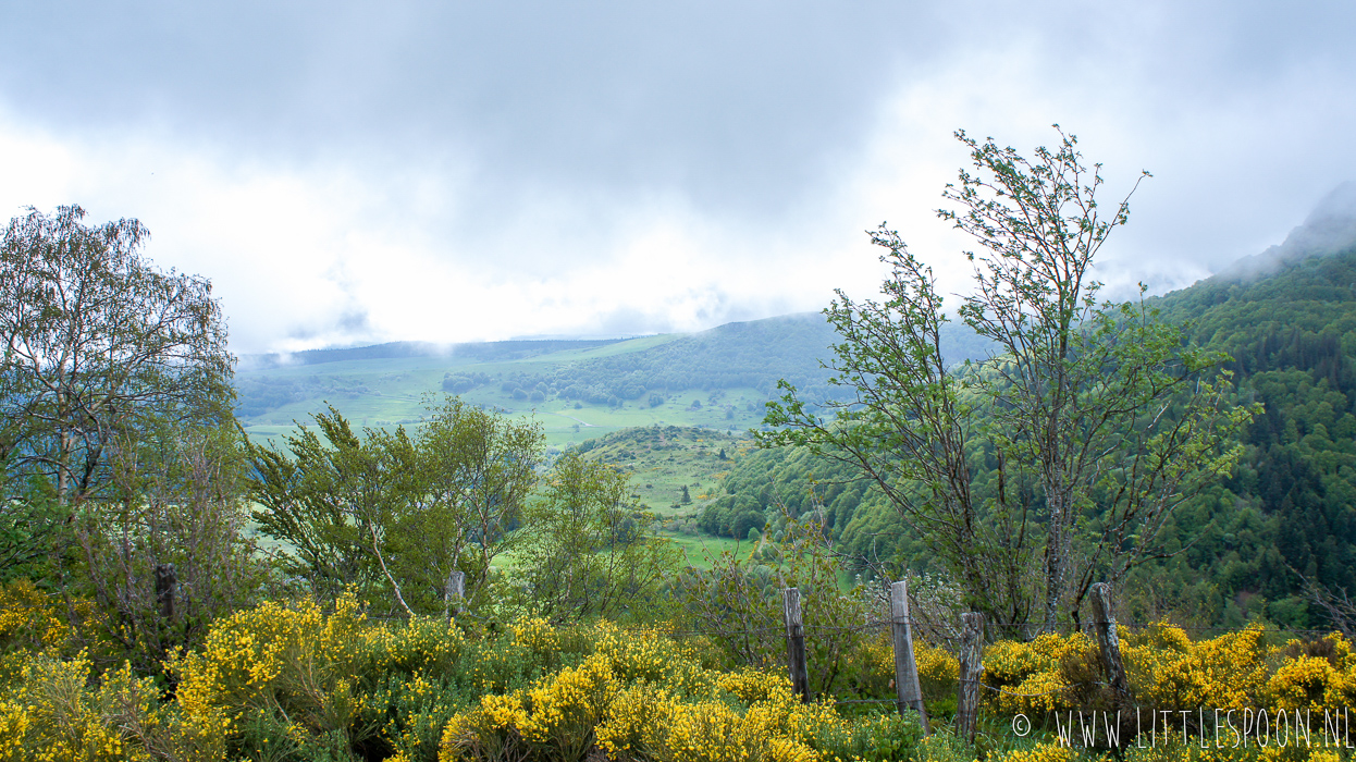 Reisdagboek Auvergne #2: wildplukken in de bergen