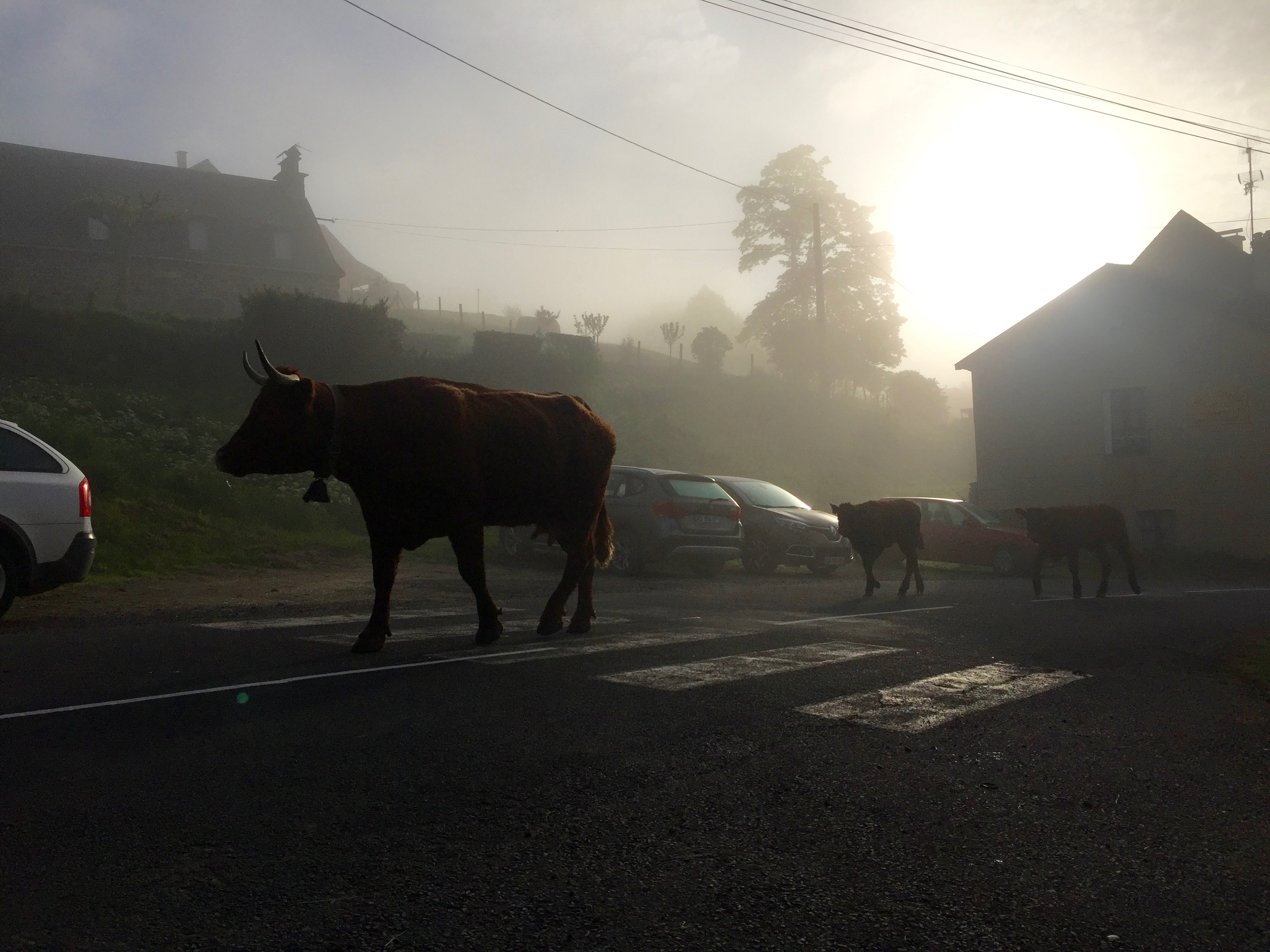 Auberge d’Aijean, een magische plek in de Auvergne