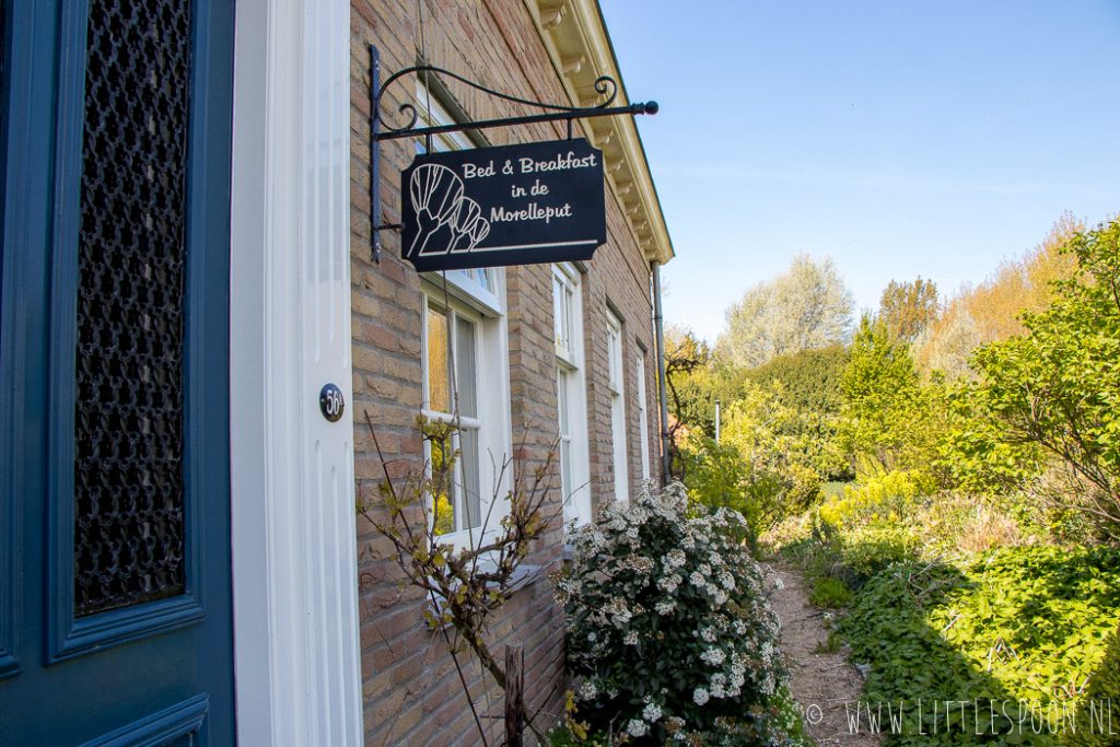 B&B In de Morelleput // voor rust, ruimte en een fantastisch ontbijt!