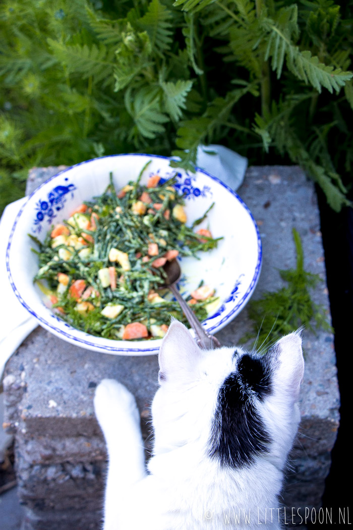 Zilte zeekraalsalade met wortel en ei