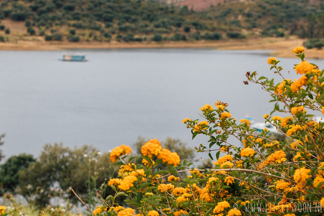 Waarom Alentejo op jouw bucketlist hoort.