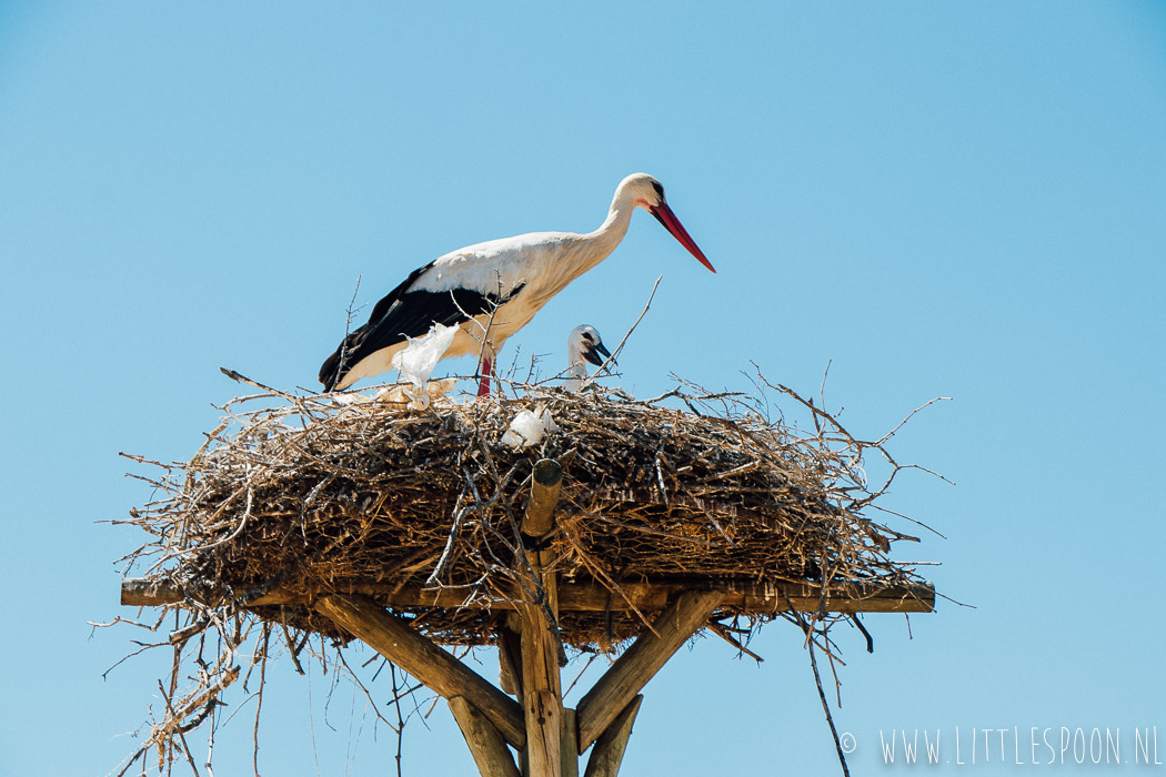 Waarom Alentejo op jouw bucketlist hoort.