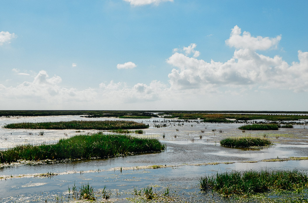 Waddenland