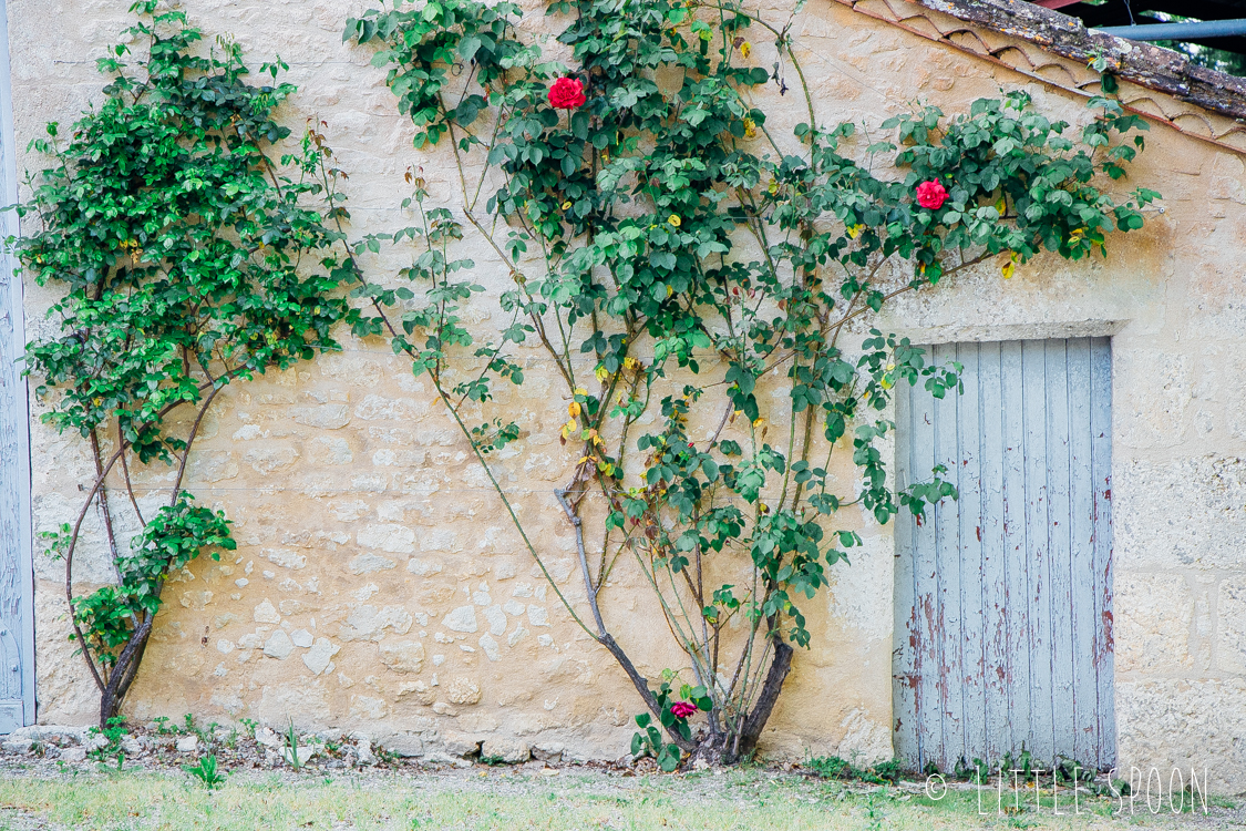 15 x doen en zien in de Dordogne en Corrèze