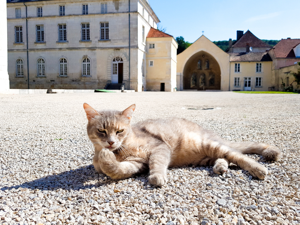 Onthaasten in Haute-Marne // 14 x tips om te doen