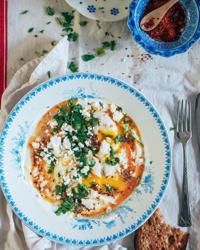 RECEPT VOOR TURKSE EIEREN // het is al maanden verdacht stil op Little Spoon. Geen nieuwe recepten, geen artikelen. Ik weet niet of dat op korte termijn verandert. Het creatieve stuk van mijn blog vind ik super leuk. Koken, foodstyling en foto’s maken. De recepten uitwerken en wordpress daarentegen is voor mij een verschrikking 🤣.

Natuurlijk heb ik er wel eens over nagedacht om dat stuk uit te besteden, maar ja, ik blijf toch ondernemer en het voelt gek om te investeren in iets waar geen geld uitkomt. Ik ben heel bewust gestopt met campagnes enz. Gewoon omdat ik er geen plezier meer in heb.

Maar ja, het is eeuwig zonde als ik al die recepten die nog op de plank liggen, nooit met jullie deel. Daarom ga ik dat af en toe gewoon hier doen. Vergeet dan niet het gerecht op te slaan met het vlaggetje. Kun je het makkelijk terugvinden.

Vandaag het recept voor Turkse gepocheerde eieren. Dit is zo fantastisch lekker. Romige yoghurt met knoflook, gepocheerde eitjes, spicy chiliboter, veel groene kruiden en feta. Niet te doen zo lekker 😍😋. Stuur je me een berichtje of tag als je het gemaakt hebt? 

Zo maak je het:
Voor 1 persoon 
3 flinke el Griekse yoghurt mengen met geraspte knoflook, olijfolie, peper, zout en fijngehakte dille.

Smelt een klont roomboter in een pan met komijn en gedroogde chilivlokken. Laat de boter niet bruin worden en pas op dat de komijn en chili niet verbrandt. 

Pocheer 2 eitjes. Schep ze uit de pan en leg bovenop de yoghurt. Schenk de chiliboter erover.

Garneer met feta en fijngehakte koriander. Ik eet het met geroosterd zuurdesembrood van @luuksbroodenpatisserie, maar met pita of flatbread is het ook mega lekker.

Mooie dag vandaag en geniet van de ☀️ ❤️!
•
•
•
#cilbir #lekkereten #ontbijten #turkseeieren #ontbijt #eetsmakelijk #smakelijketen #lekkerlekker #lunchen #luuksbroodenpatisserie #smullen #watetenwevandaag #zuurdesembrood #lekker #culinaireinspiratie #foodlovefollow #alldaybreakfast #gepocheerdei #griekseyoghurt #heerlijk #heerlijketen